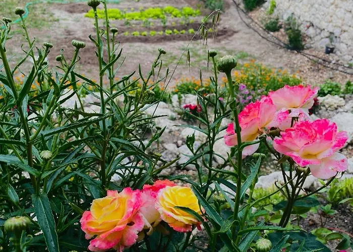 Holiday home Gaia Aldeasona